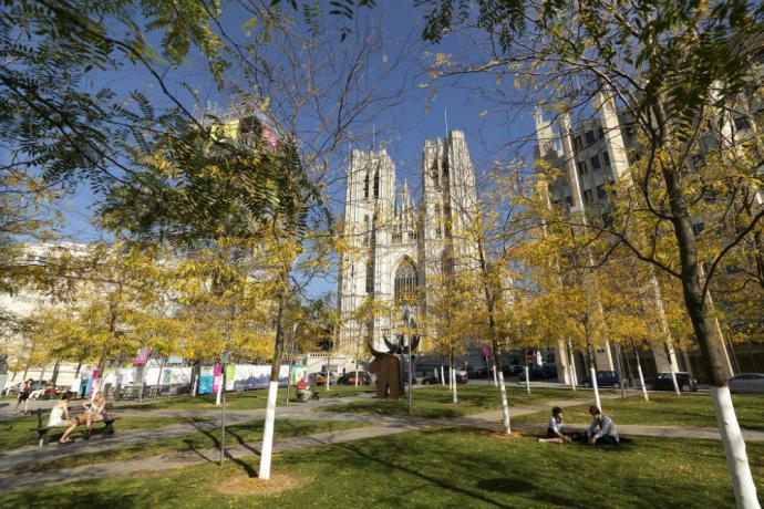 Kathedraal van Sint-Michiel en Sint-Goedele