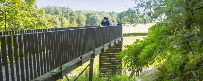Vlaanderen: vlakbij, vertrouwd en verrassend