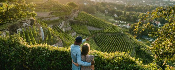 Dresden: cultuur en wijn