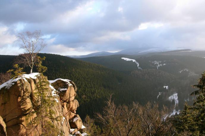 Nationaal Park Harz