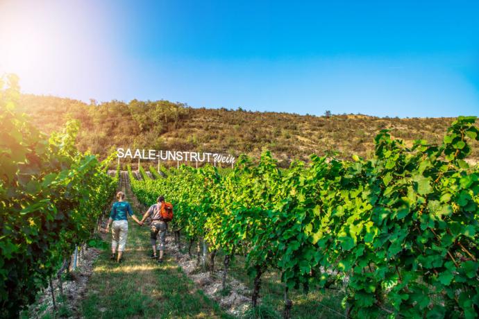 Mansfeld Meren Wijnroute