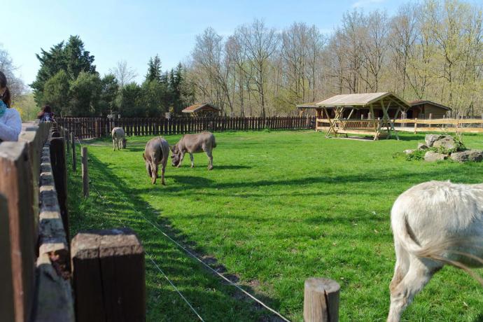 Merseburger Südpark