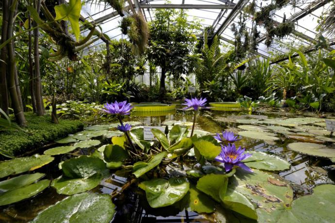 De Alter Botanischer Garten