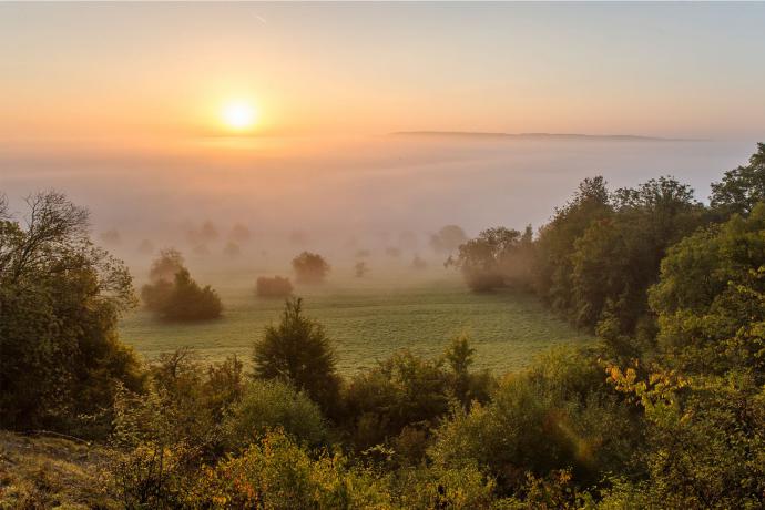 UNESCO Biosfeerreservaat Bliesgau