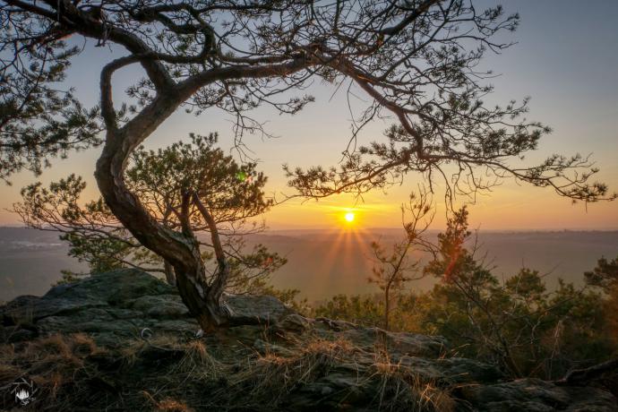 Heksen in Halberstadt