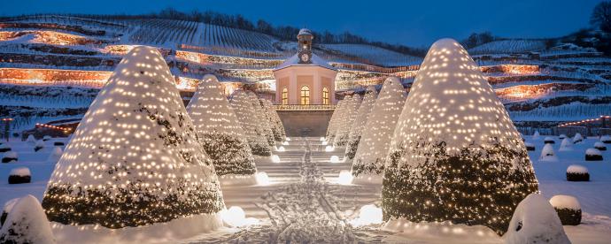 Ontdek de 5 mooiste exposities in Dresden