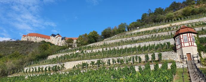 Duits wijnwalhalla: ontdek Freyburg met local Torsten | German.Local.Culture.
