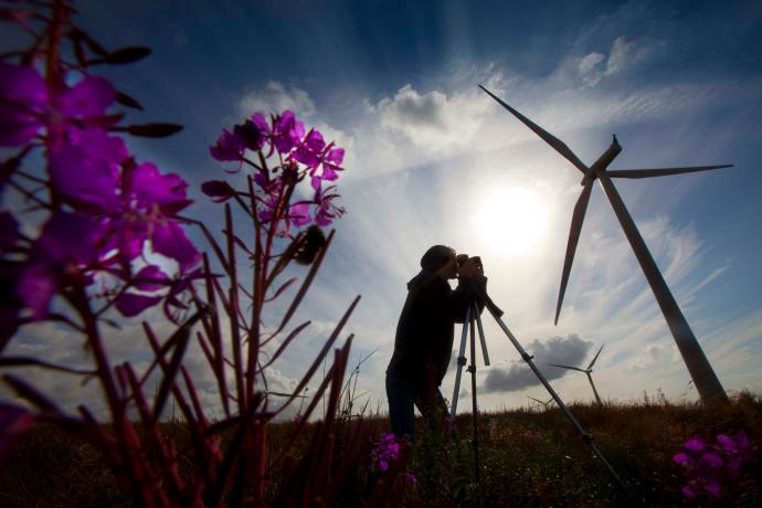 Whitelee Windfarm