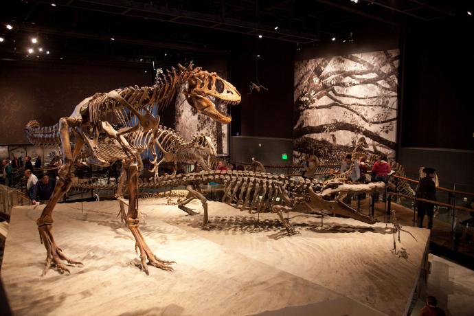 Natural History Museum of Utah