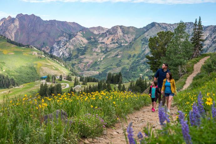 Big & Little Cottonwood Canyon