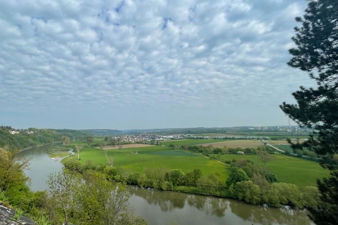 Mindfulness in het bos
