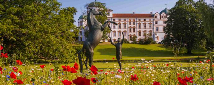 Ontdek de combinatie van klassiek en modern in Celle | German.Local.Culture.