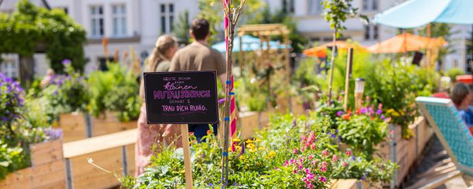 Proef de zomer in Lübeck en Travemünde