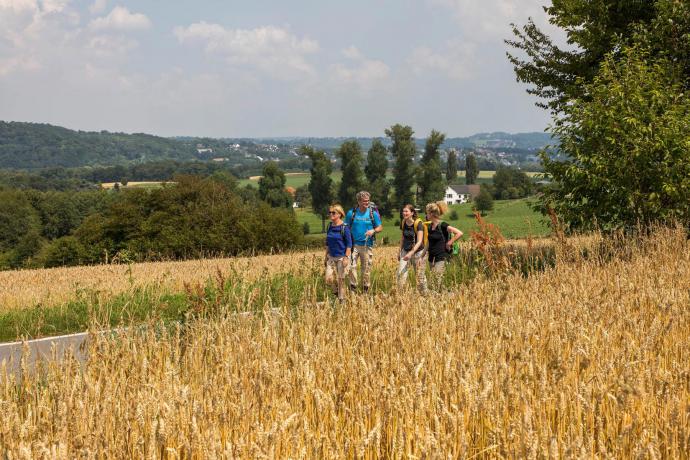 Wandelen in en rondom Essen