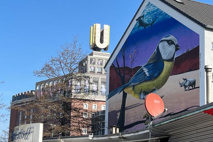 Streetart in de wijk Unionviertel