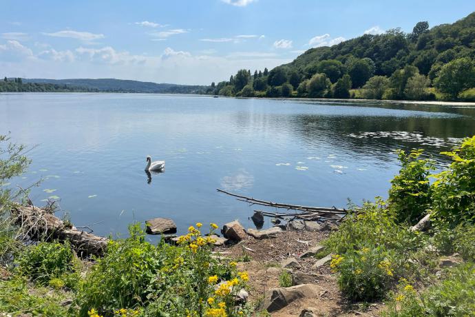 Kemnadermeer en skatebaan