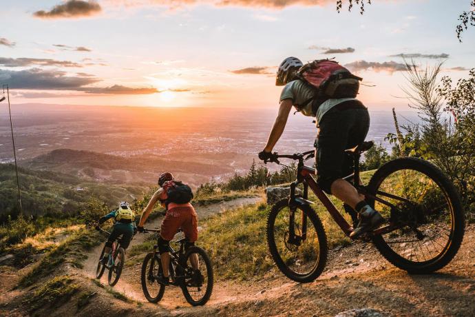 Fietsen in het Zwarte Woud