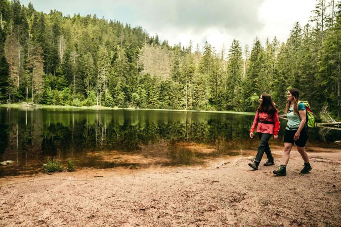 Adembenemende natuur van het Zwarte Woud
