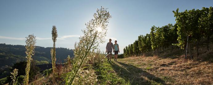 Met de fiets of te voet op pad in Baden-Württemberg