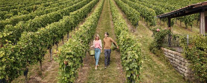 3x culinaire hoogtepunten in Baden-Württemberg