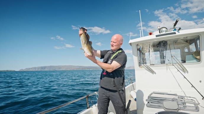 Proef de smaak van de kust
