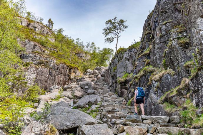 Go Fjords Busvervoer