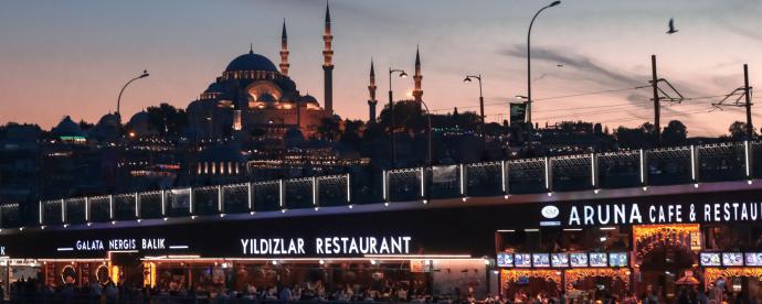 Culinair genieten bij visrestaurant in Istanbul