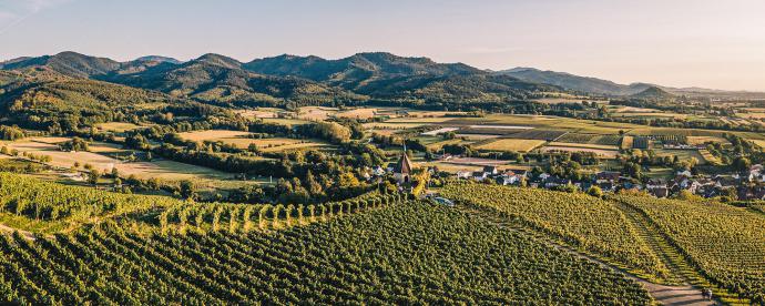 De wijnregio's van Baden-Württemberg in het zonnige zuidwesten van Duitsland