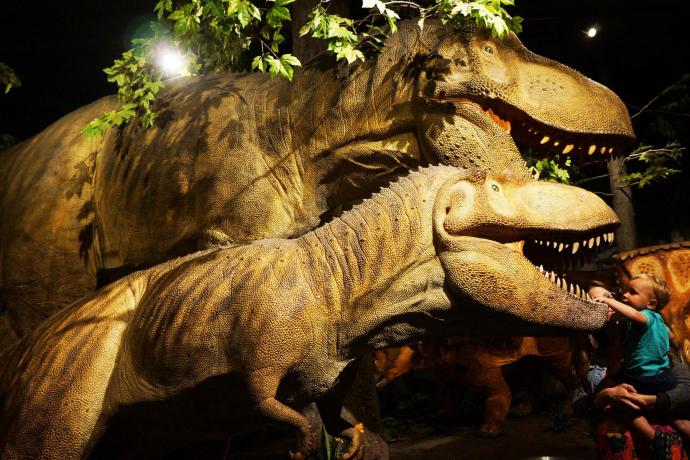 Canadian Museum of Nature