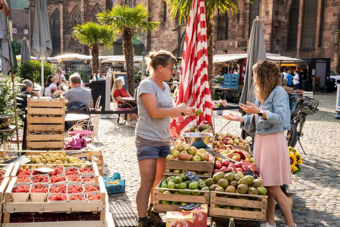 Altstadt van Freiburg