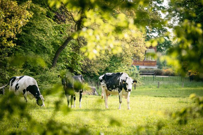 Fietsparadijs - ‘Blokland district’