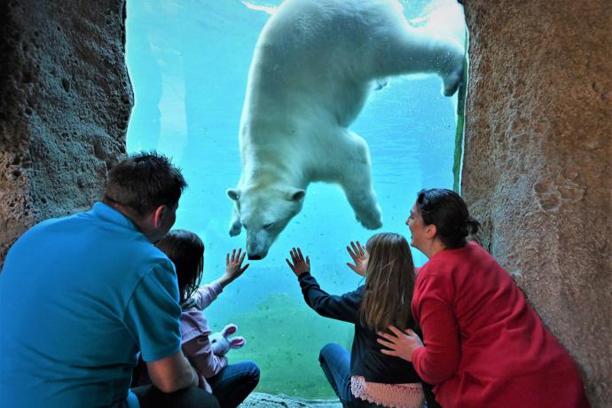 Zoo am Meer (dierentuin aan zee)