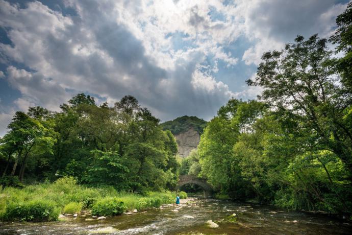 Druivenpad Kleine Walporzheimer Ronde