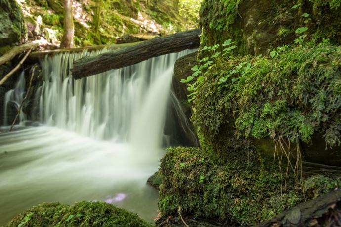 Nationaal Park Hunsrück-Hochwald