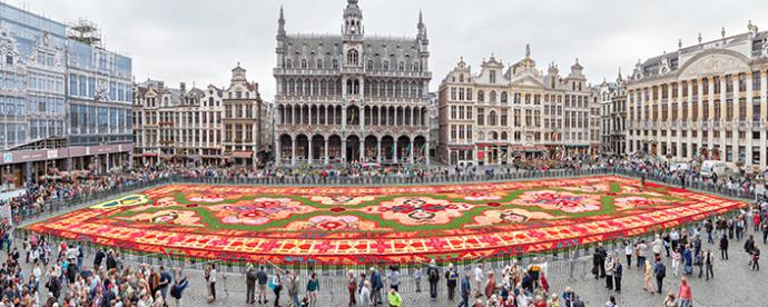 Bezoek het prachtige Bloementapijt in Brussel