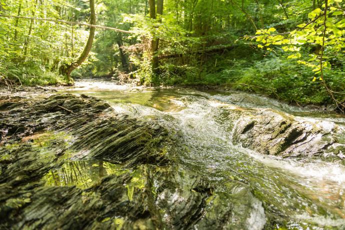 Saar-Hunsrück-Steig