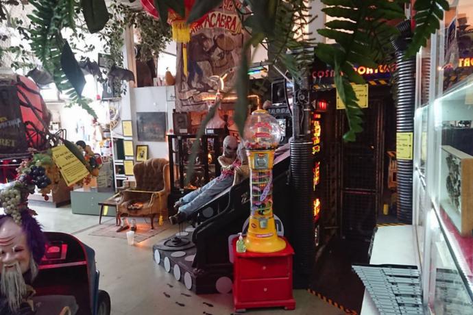 The Freakybuttrue Peculiarium and Museum