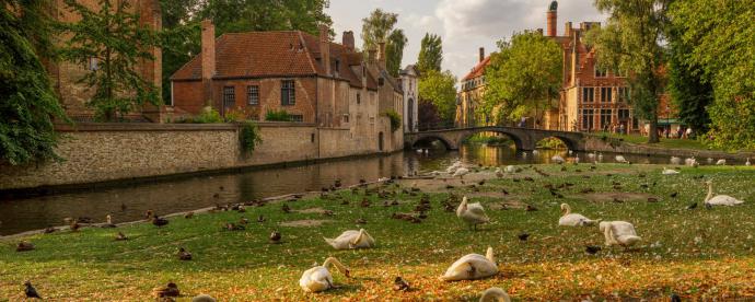 Combineer Gent, Mechelen en Brugge met uitstapjes in de natuur