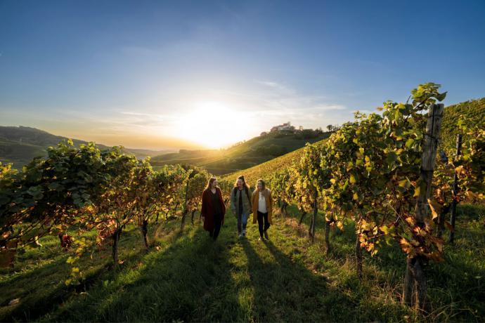 'Genietroutes' in het Zwarte Woud