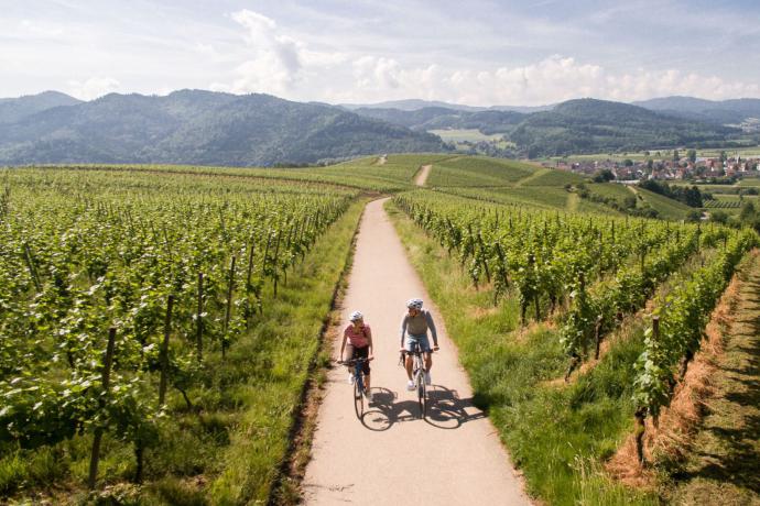 Fietsen in Baden-Württemberg