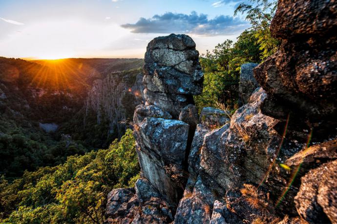 Combineer stad met natuur