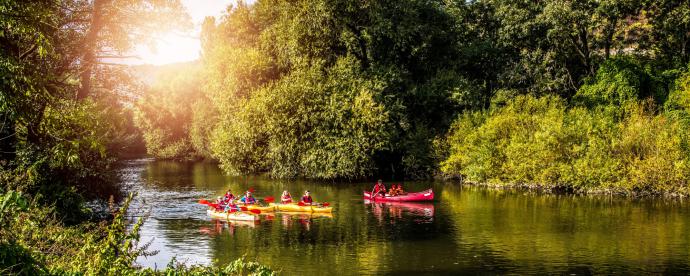Beweeg mee in Duitsland: ontdek het prachtige Saksen-Anhalt 