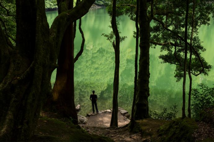 Museu do Chiado (MNAC)