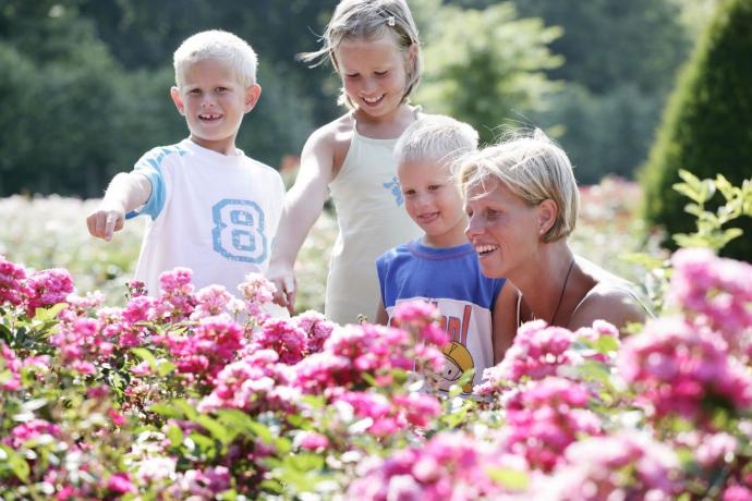 Provinciaal Groendomein Vrijbroekpark