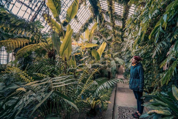 Botanische tuin (Real Jardín Botánico)
