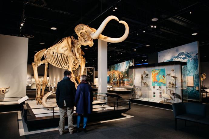 Royal Alberta Museum