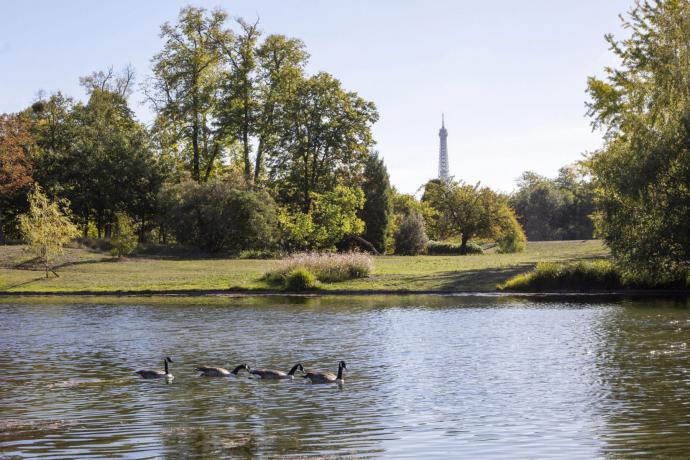 Bois de Boulogne