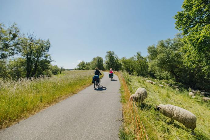 Uckermark in Brandenburg
