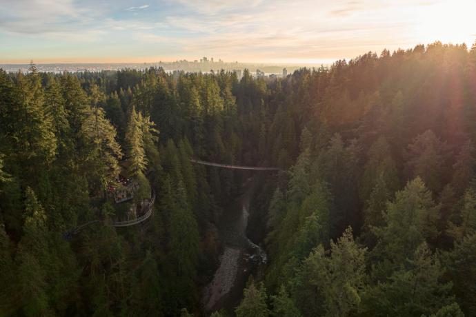 Capilano Suspension Bridge
