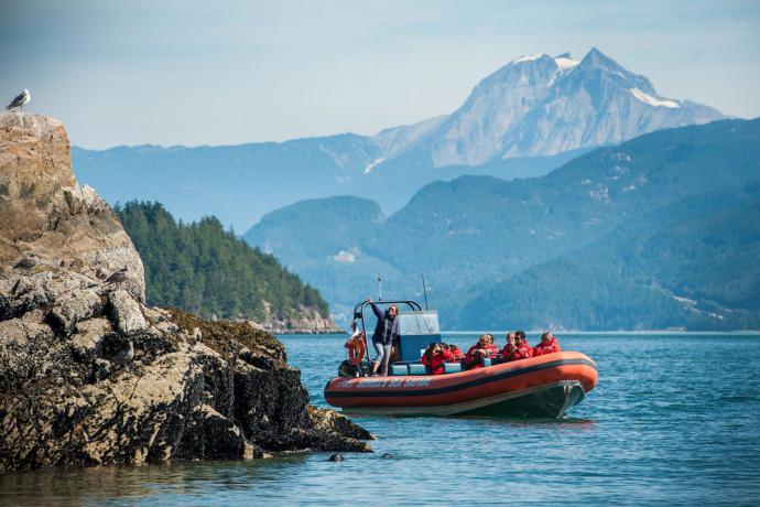 Sewell's Marina Sea Safari